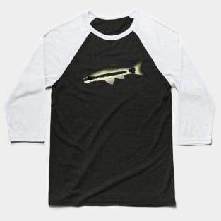 Otocinclus Baseball T-Shirt